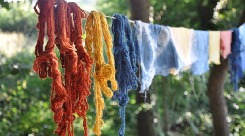 The Timeless Craft of Root Dye